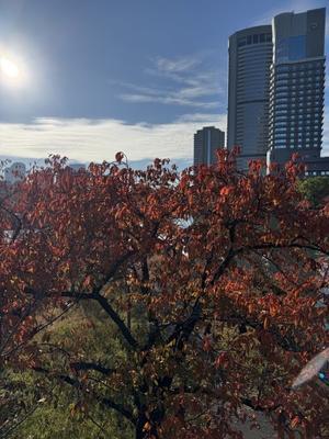 しつこいようですが・・・ - Fukazawa BLOG