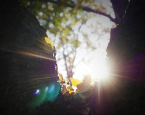 美しき秋の日 - 相模原・町田エリアの写真サークル「なちゅフォト」ブログ！