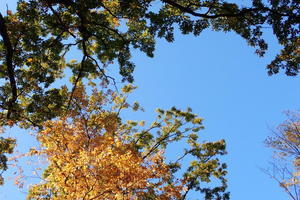 『フォトウォークin古淵』 - 相模原・町田エリアの写真サークル「なちゅフォト」ブログ！