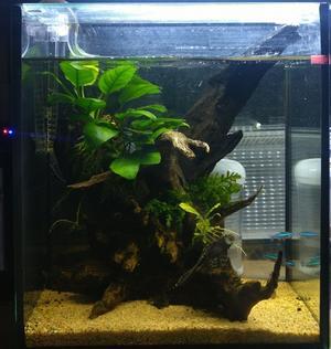 2025.11.30.日曜日 - ネオウエーブ淡水ブログ（ほぼ日記とメモ）