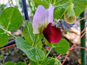 暖かい日は動けるね - その日まで