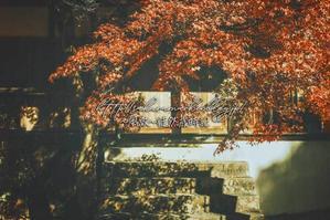 犬山　寂光院にて。 - ～風紋～徒然歳時記