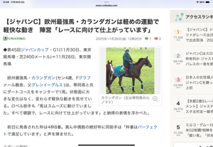 今週ジャパンC／２０２５.11/29 - 馬主クラブの研究