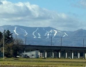 冬支度完了！ - ペコリの庭と今日もニコ