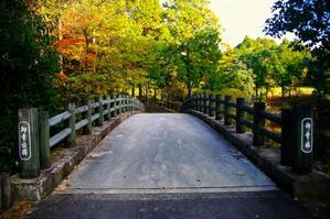 橋先の紅葉 - きずなの家創り