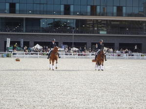 生演奏で2頭の馬が馬術披露 - のび丸亭の「奥様ごはんですよ」日本ワインと日々の料理