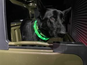 やっぱり今はアメリカのスバルが最高だ！ - 中津スバルの濃いスバリストに贈る情報