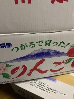 弘前りんご - DAY BY DAY