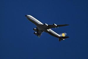 ルフトハンザ：レトロ塗装機：B747-830(D-ABYT)の運航状況：12/5：EZE - denshakamera's Blog 電車飛行機カメラブログ