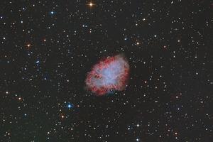 カニ星雲を撮り直しした。 - みずがきの森から