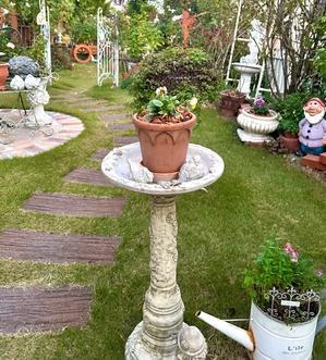 お迎えした鉢②（スウェーデン）♡と、詐欺電話(⌒-⌒; ) - 薪割りマコのバラの庭