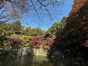 近くの公園、再び - feel nature Under the Sky