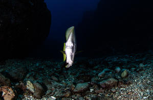 11月30日 明日から師走ですよー - YDSブログ