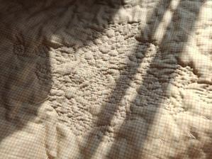 のんびりな日曜日♪ - しずくの手仕事