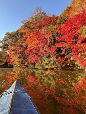 恒例の紅葉の亀山湖カヤック③ - 本日も晴天なり  ちょっとそこまで自転車で