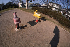 写真が楽しめる日