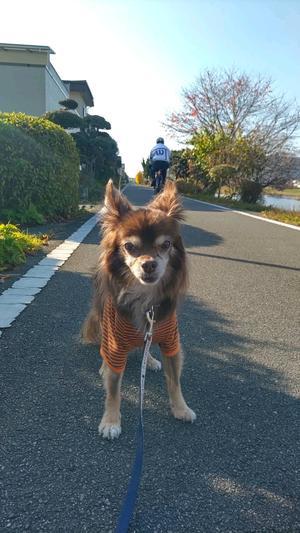 17歳だけど元気です！ - 空を見上げて２