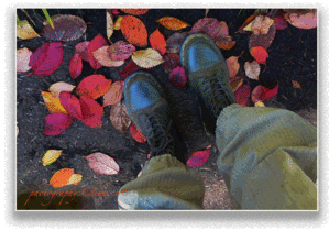 ことの葉 - ちほりごと@．．ｏＯ○