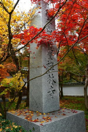 京都紅葉徘徊2025-2　永観堂-1 - 祭りバカとは俺の事(仮)