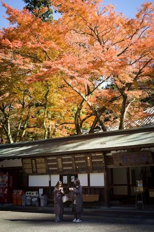 北雪NOBU - プラトンの洞窟