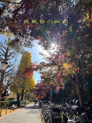 今日の陶芸教室 2025.11.30 輪花皿の削り - 疾風谷の皿山…陶芸とｵｰﾄﾊﾞｲと古伊万里と