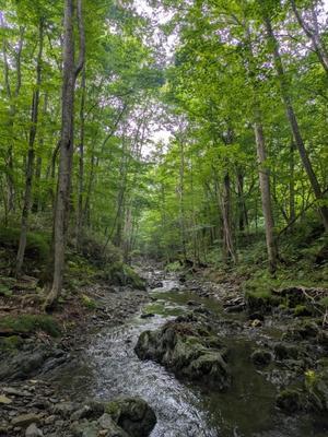 上流域の試練場 - 第３の釣り