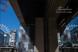 タイミング - すずちゃんのカメラ！かめら！camera！