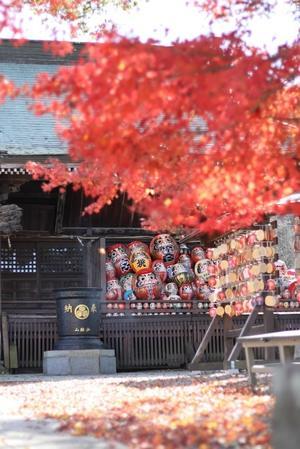 少林寺達磨寺 - 四季折々