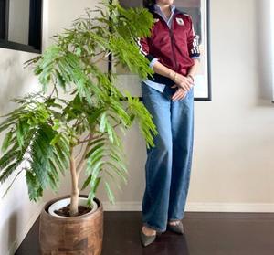 着画　難しい〜 - Second life 〜season2