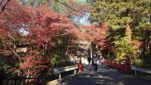 根来寺の紅葉 - のんここっこぼんこ