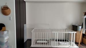 居ない… - yamatoのひとりごと