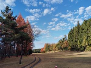 今季最終ラウンド　バイキングで腹パン！！ - 連続スリーパット　２