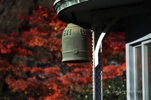 火の見櫓と紅葉と - 陽だまりcafe