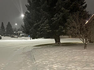 海外留学：帰国まで一か月！ - 本日もサツキ晴れ！