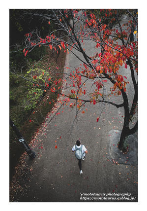 大所高所 - ♉ mototaurus photography