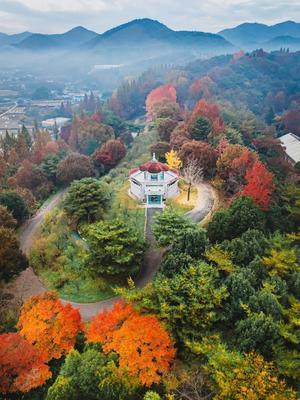 "Maeil Jeongjin日々精進"韓国旅とsoccer人生
