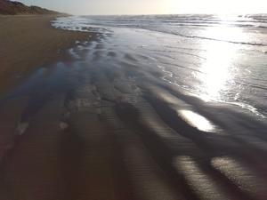 この世でいちばん - わがまま風景