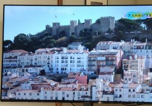 師走入り - まさかり半島日記