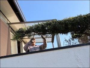 シルバー人材センターから派遣されました。 - 元気ばばの青春日記　気持ちだけは２０歳　⑥