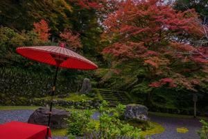 白龍園～紅葉 - 山紫水明