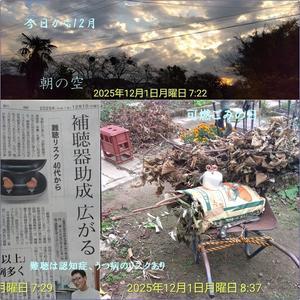 五体満足　難聴は認知症、うつ病のリスク　　高齢者の安全運転のためパソコンでタイムライン - 小次郎じじ物語