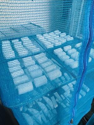 初の大根アチャール作り - ふふふな毎日