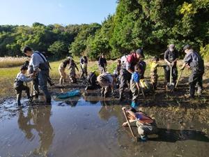 ★ひがた・たんぼ倶楽部のご報告＆今週末は活動日（2025.11.15） - 葛西臨海公園・鳥類園Ⅱ