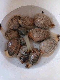 パスタ好き - 北の町であれこれ暮らす