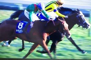 世界最強の実力見せつけた！ジャパンＣはフランス・カランダガンが世界レコードで差し切り２０年振りの外国馬Ｖ！ - 愛しのサラブレッド写真館　