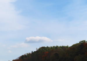 大雨に遭った今日はキーマカレーで乾杯！ - 衰退国家の片隅で