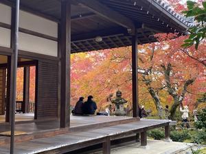 嵯峨野で紅葉鑑賞 - ｈｏｔｅｌｏＧ．