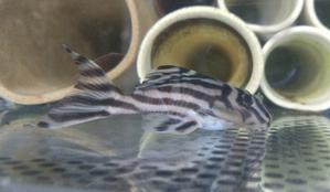 2025.12.02.火曜日 - ネオウエーブ淡水ブログ（ほぼ日記とメモ）