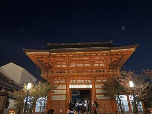 リストランテ　キメラ　さん - Liaison*                      リエゾンプリュス