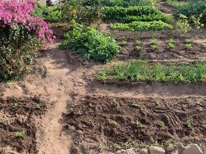 年度末だというのに混在する季節 - 光さんの日常２